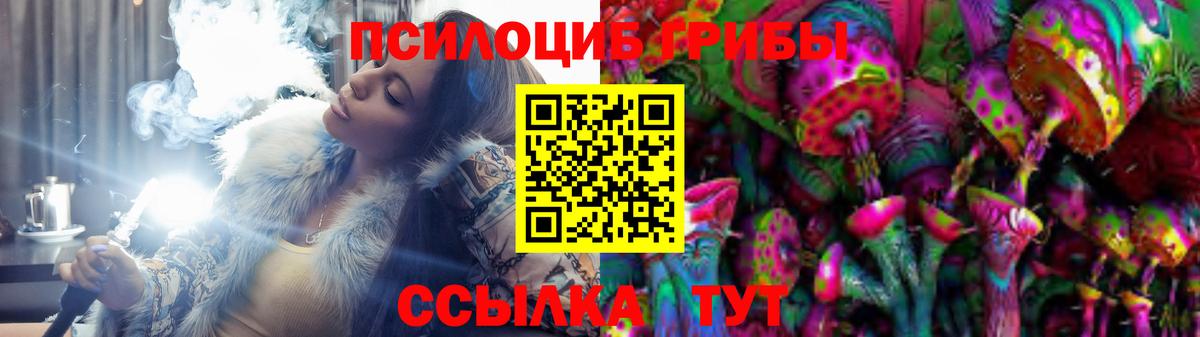 Горно-Алтайск  Галлюциногенные грибы Cubensis  продажа наркотиков  Галлюциногенные грибы Cubensis  Вход с VPN 