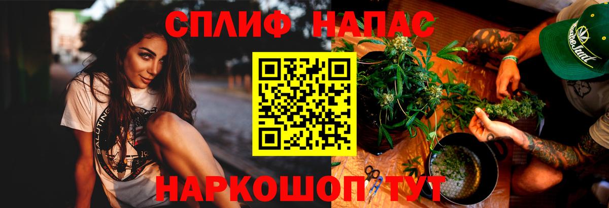 Конопля Ganja Горно-Алтайск